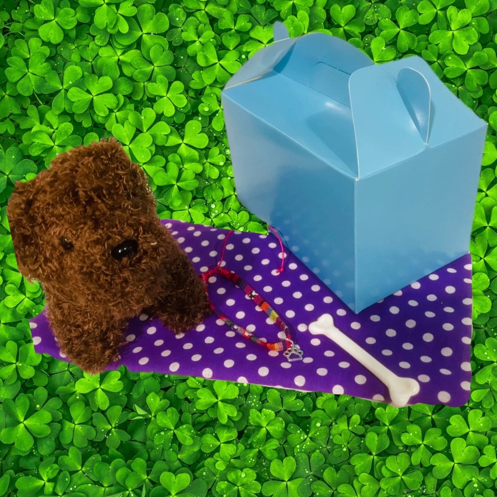 Mystery plush puppy pretend play box , puppy , collar , blanket , house & bone